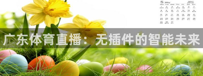 so米体育直播app下载：广东体育直播：无插件的智能未来