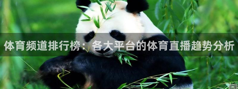 so米体育官网下载：体育频道排行榜：各大平台的体育直播趋势分析