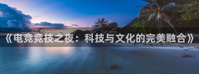 so米nba体育直播：《电竞竞技之夜：科技与文化的完美融合》