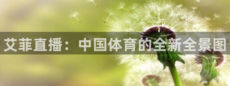 so米比赛直播：艾菲直播：中国体育的全新全景图
