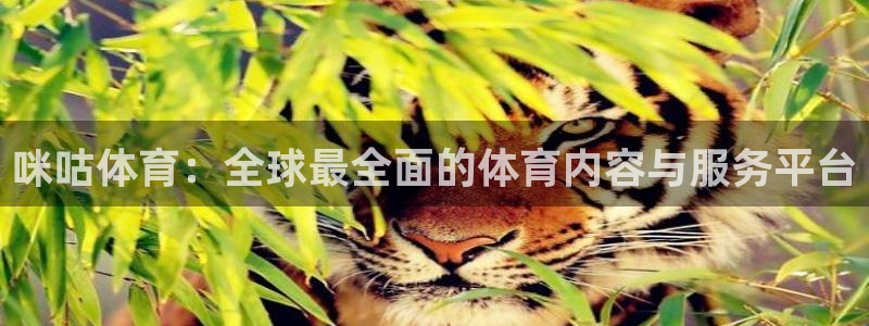 so米体育直播吧：咪咕体育：全球最全面的体育内容与服务平台