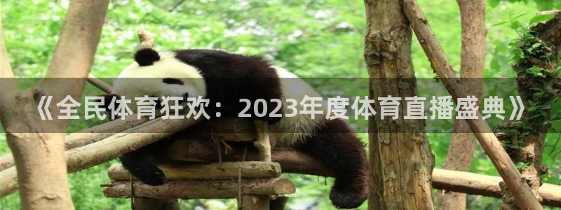 so米直播：《全民体育狂欢：2023年度体育直播盛典》