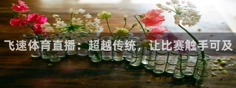 so米体育直播：飞速体育直播：超越传统，让比赛触手可及