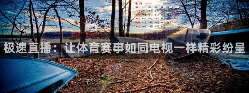so米体育在线观看：极速直播：让体育赛事如同电视一样精彩纷呈